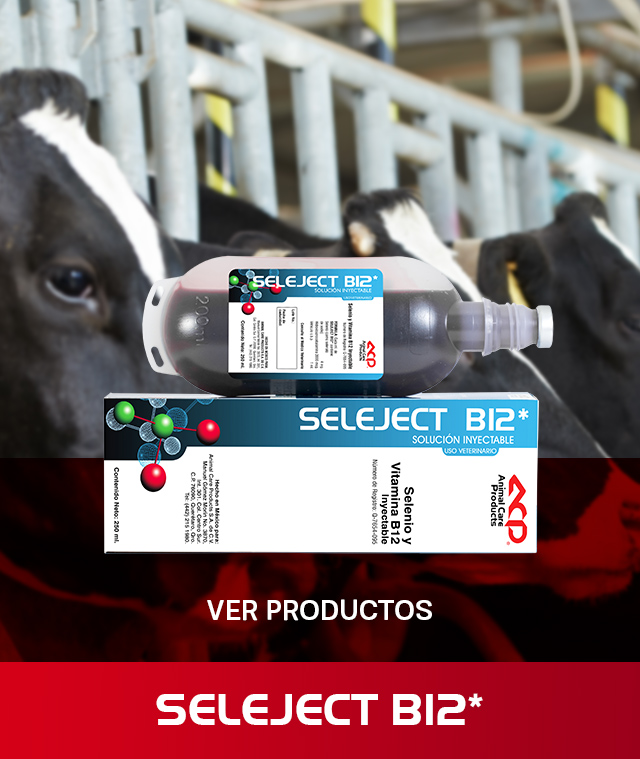 Banner con Vacas - Producto Seleject B12 ACP